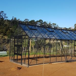 EDEN 10 Series GH1016D