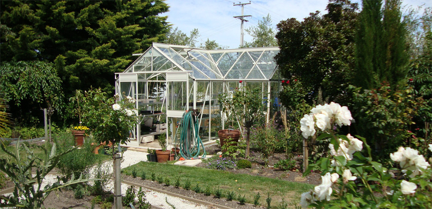 Eden Greenhouses Backyard