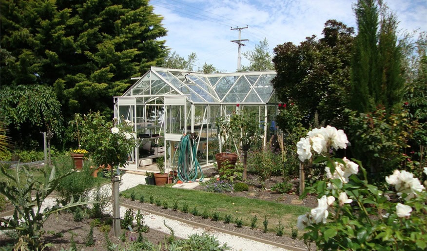Eden Greenhouses White Rose Garden